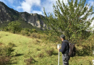 CRBA - Patrimoine cultivé dans le PNR Chartreuse