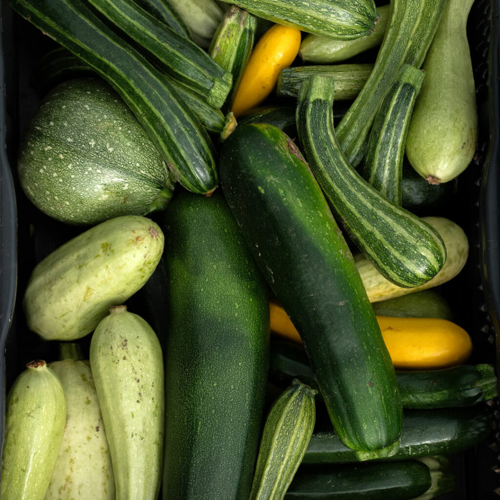 WEB-CRBA-cultiver_lavenir-7