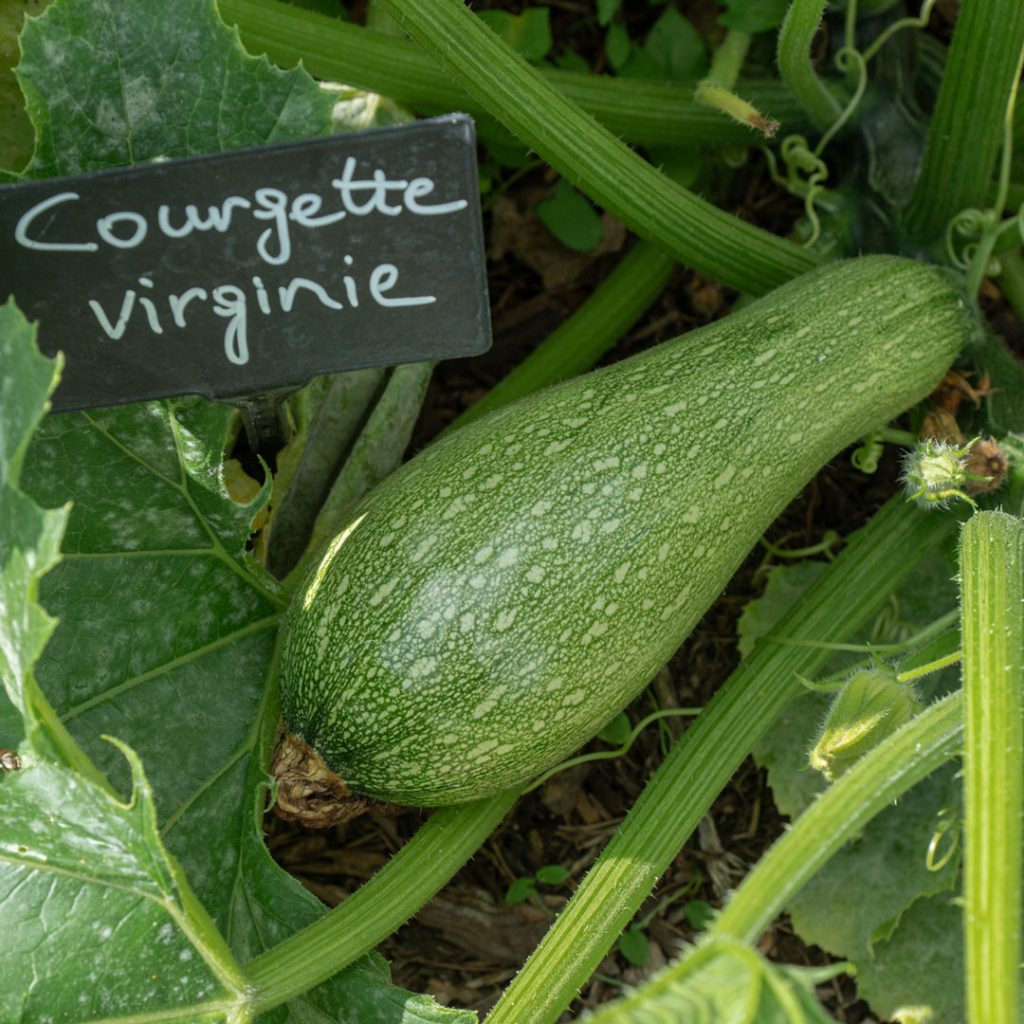 WEB-CRBA-cultiver_lavenir-6